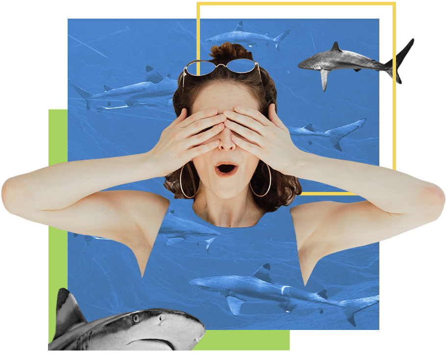 Swimming with sharks
