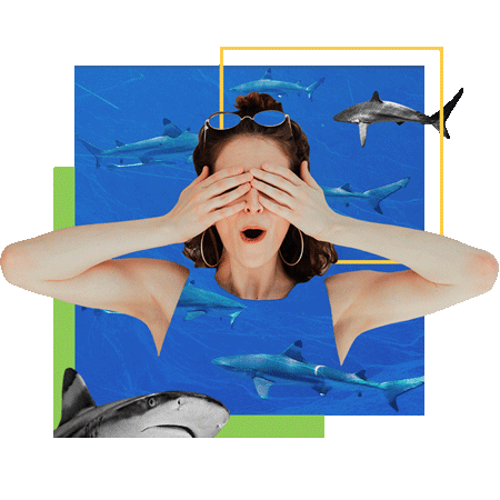Swimming with sharks